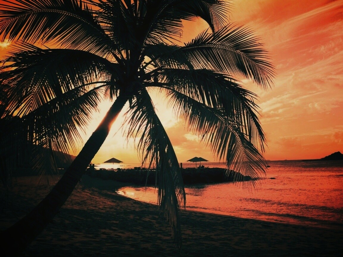 Пляж на закате обои