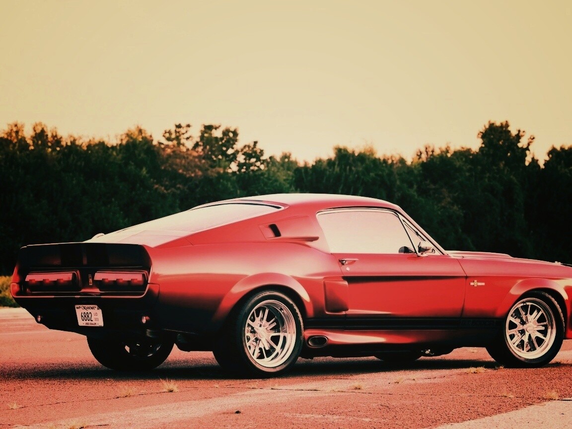 Shelby GT500 CR обои
