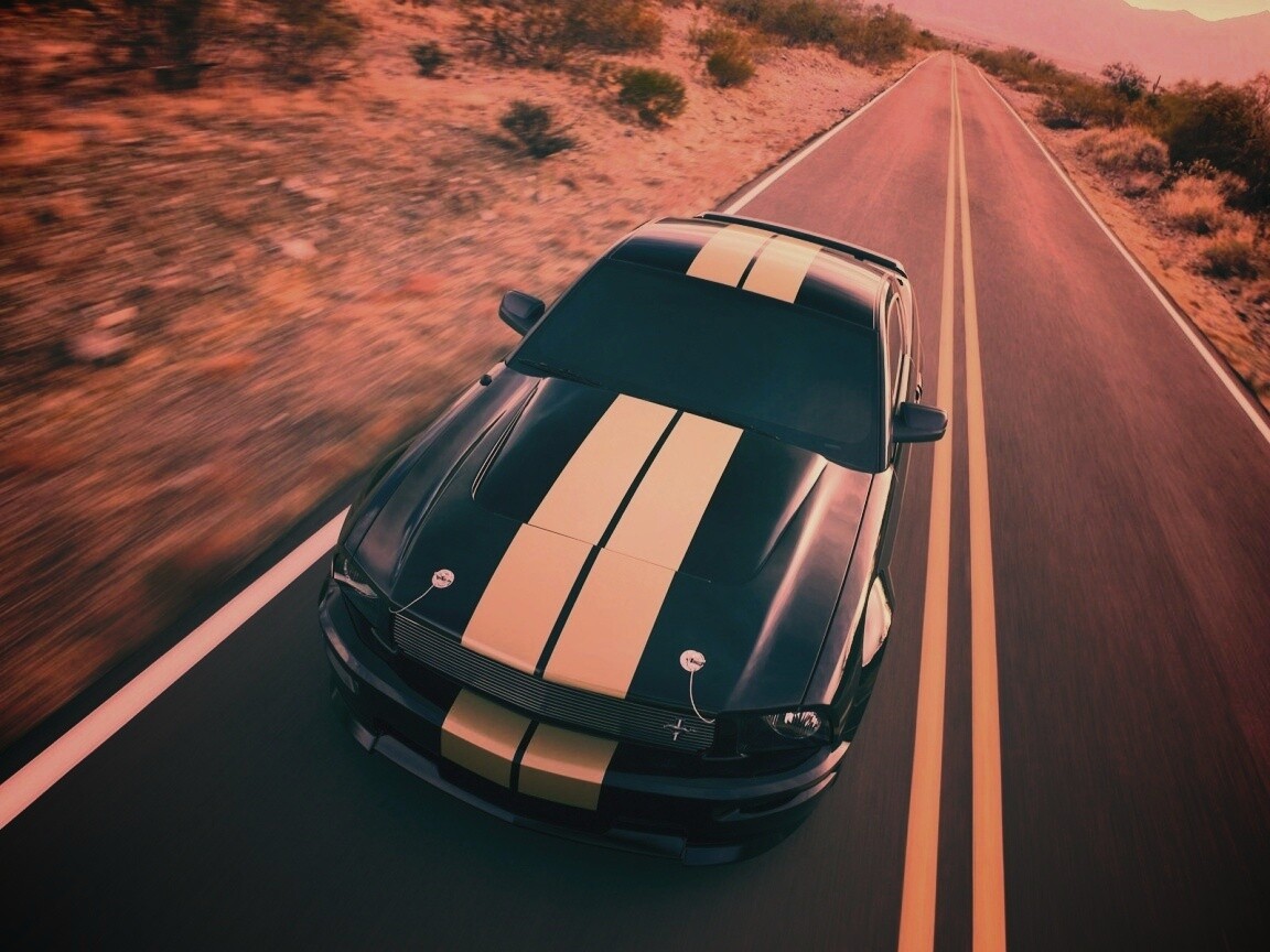 Ford Mustang  с гоночными полосками обои