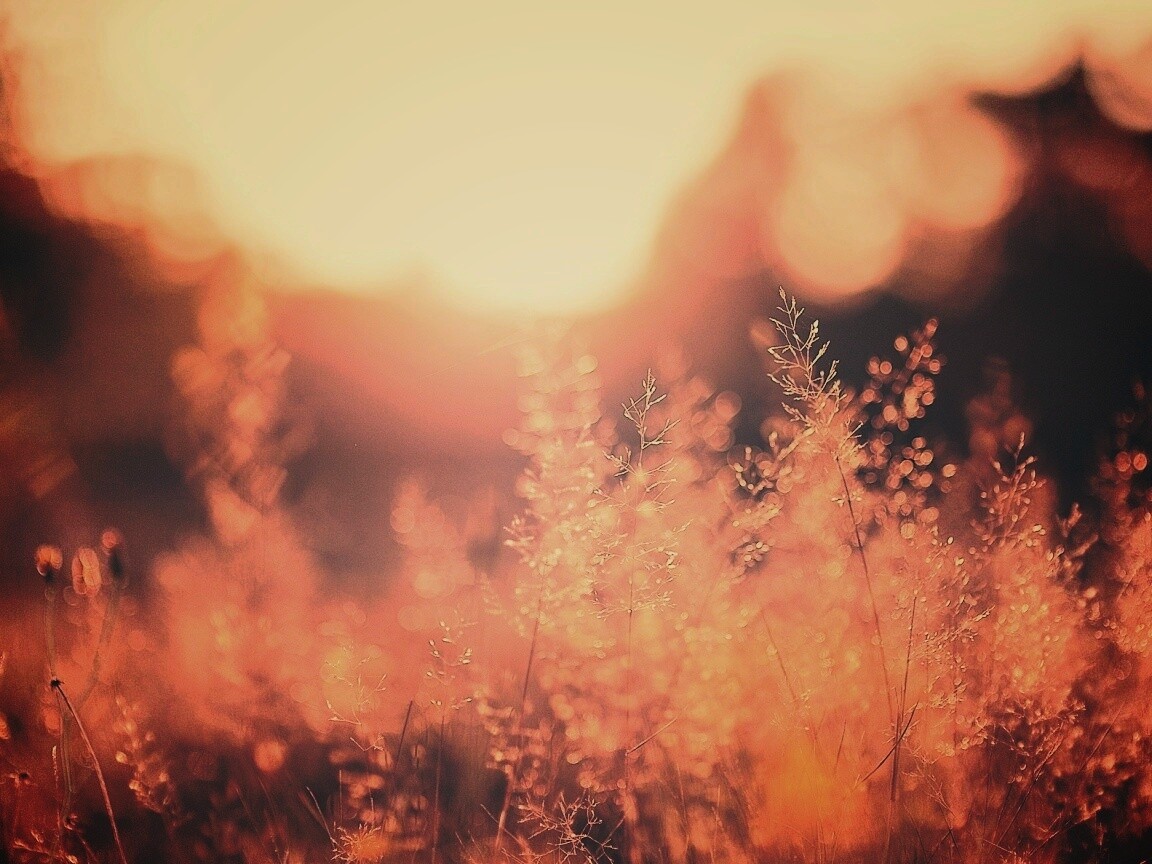 Посмотри на этот мир обои