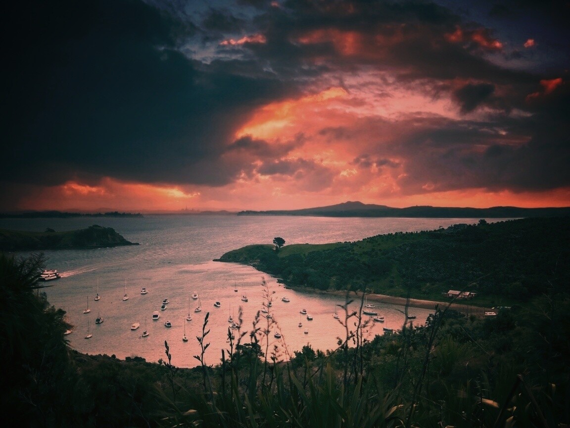 Waiheke Island, New Zealand обои