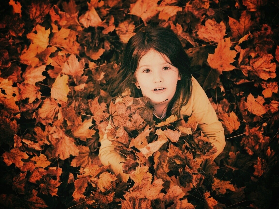 Девочка и осень обои