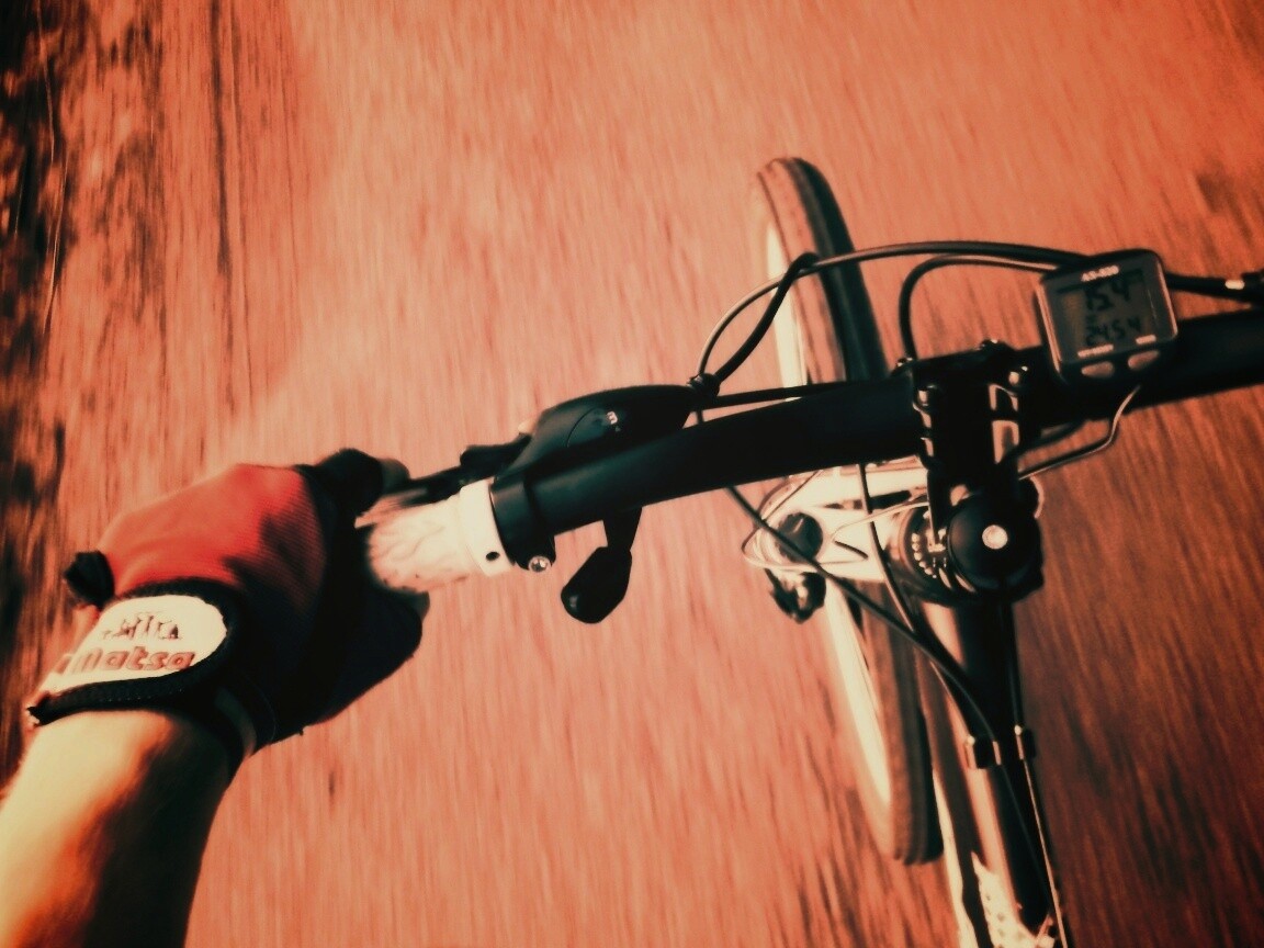 Катание на велосипеде обои