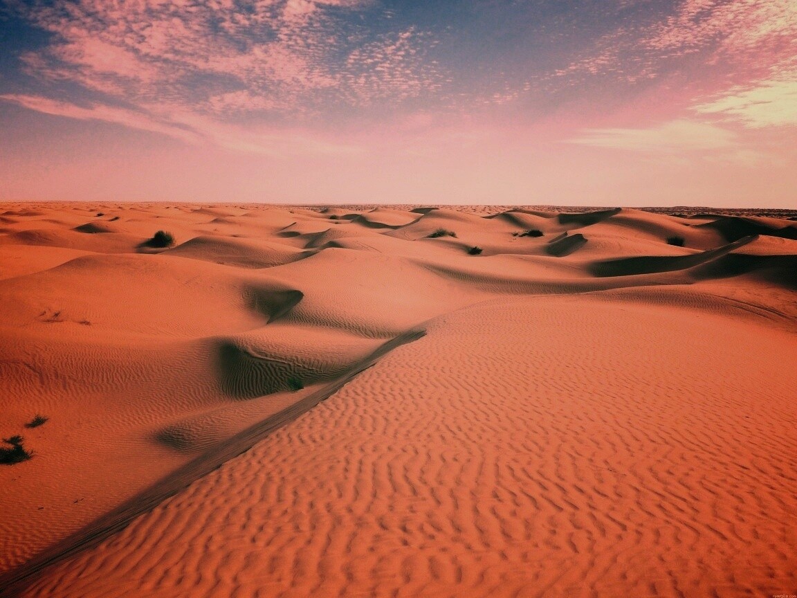 Пустыня до самого горизонта обои