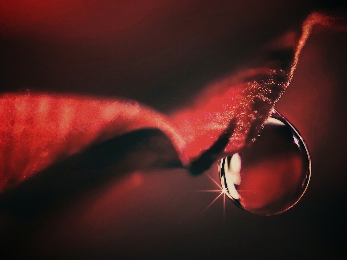 Макро капля на лепестке обои