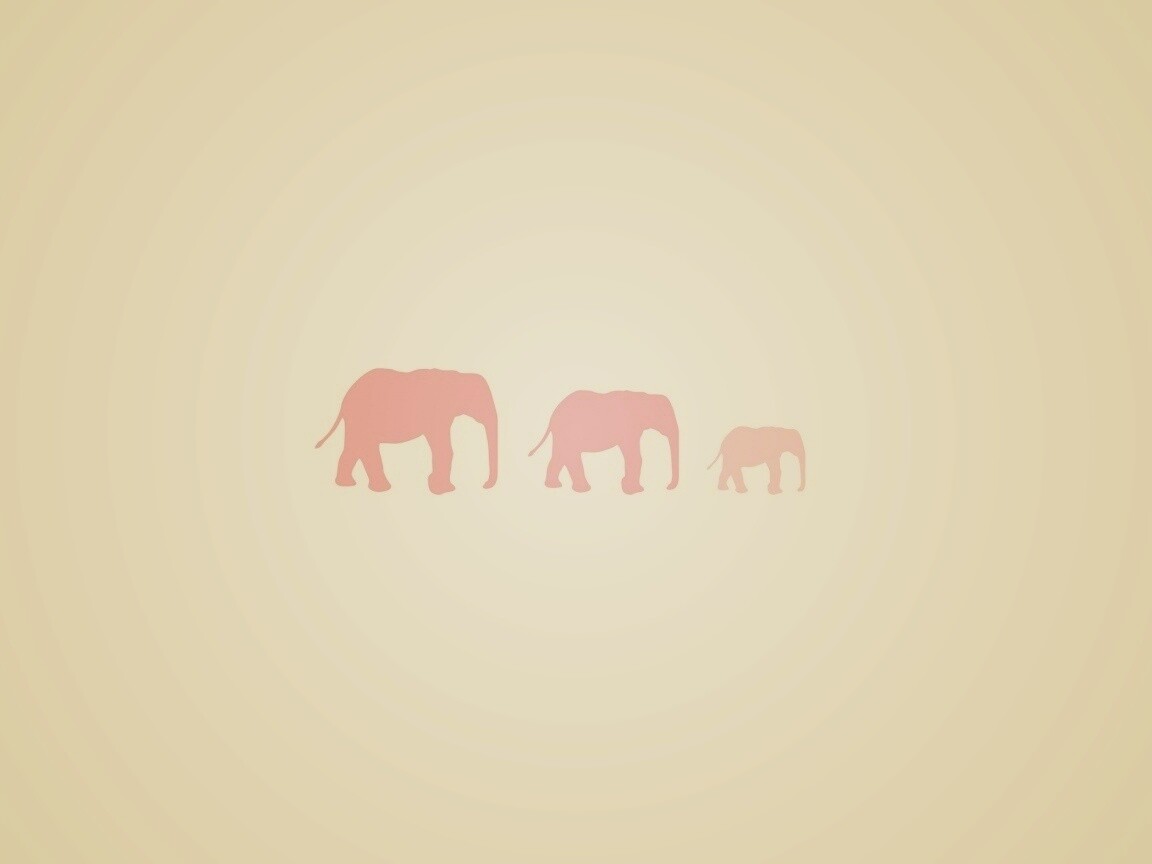 Вереница слонов обои