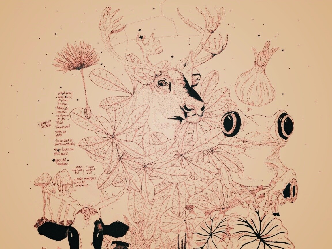 Животные на рабочий стол Apple обои