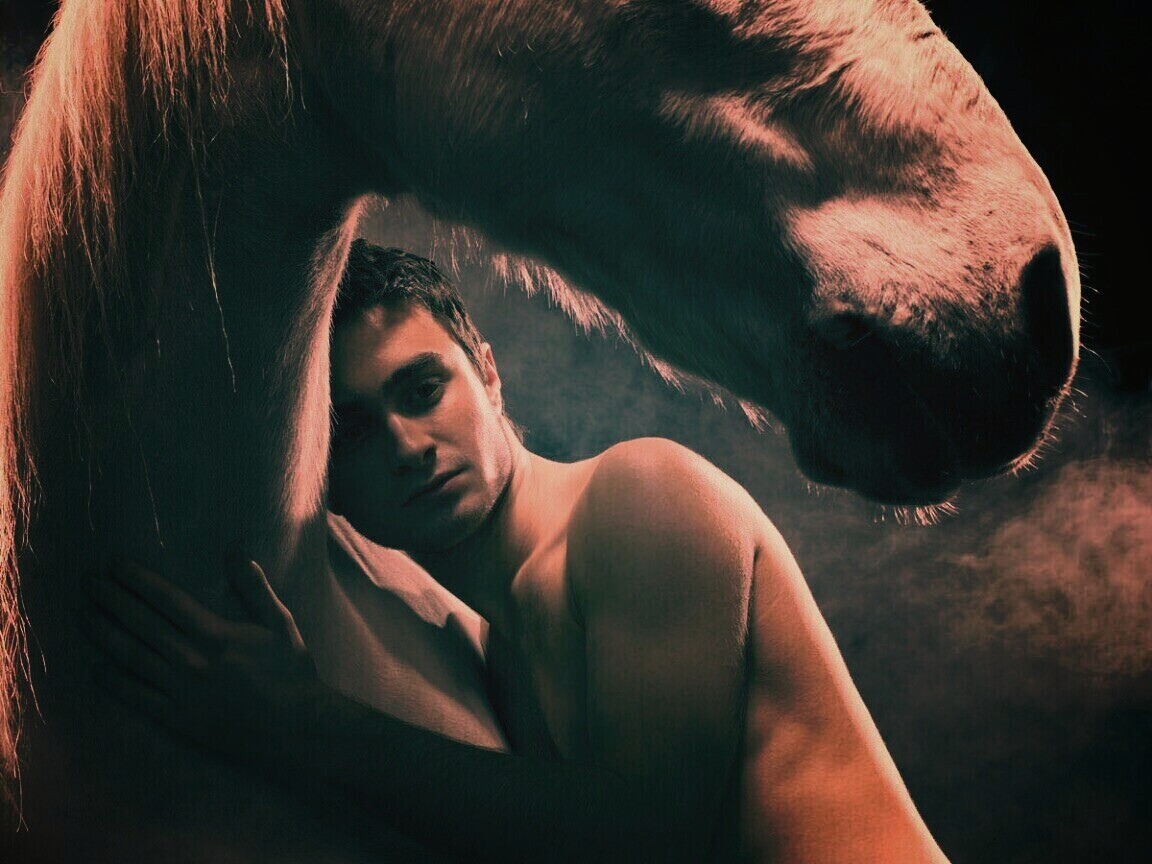 Дэниел Рэдклифф обои