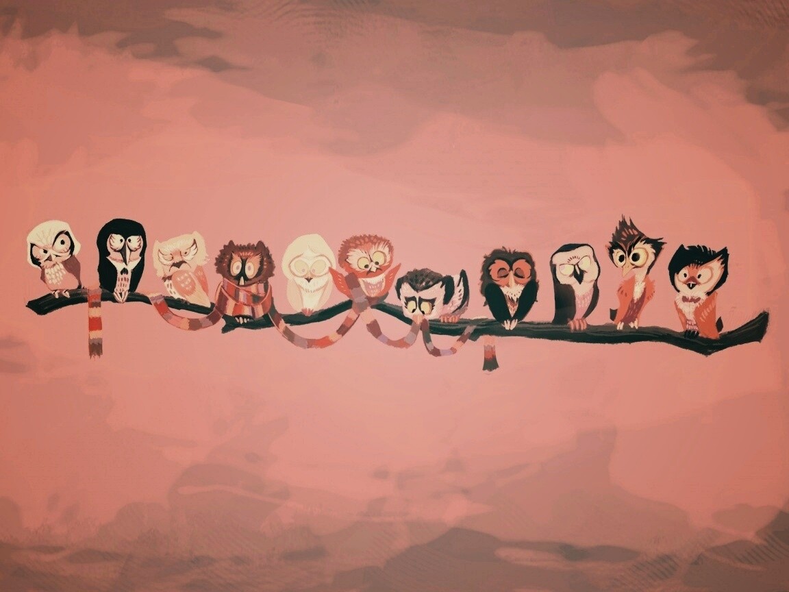 Совы на ветке обои