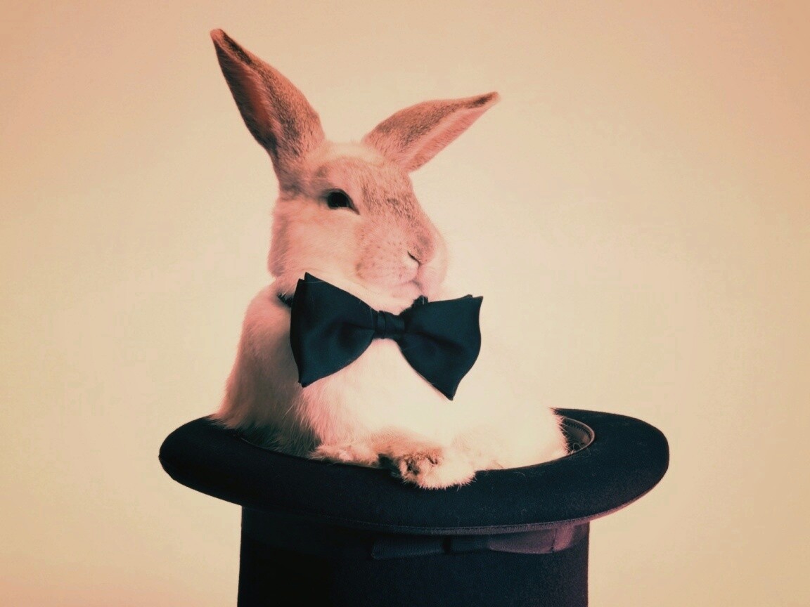Кролик в цилиндре фокусника обои