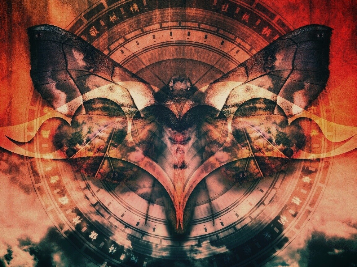 Красивая фэнтезийная бабочка обои