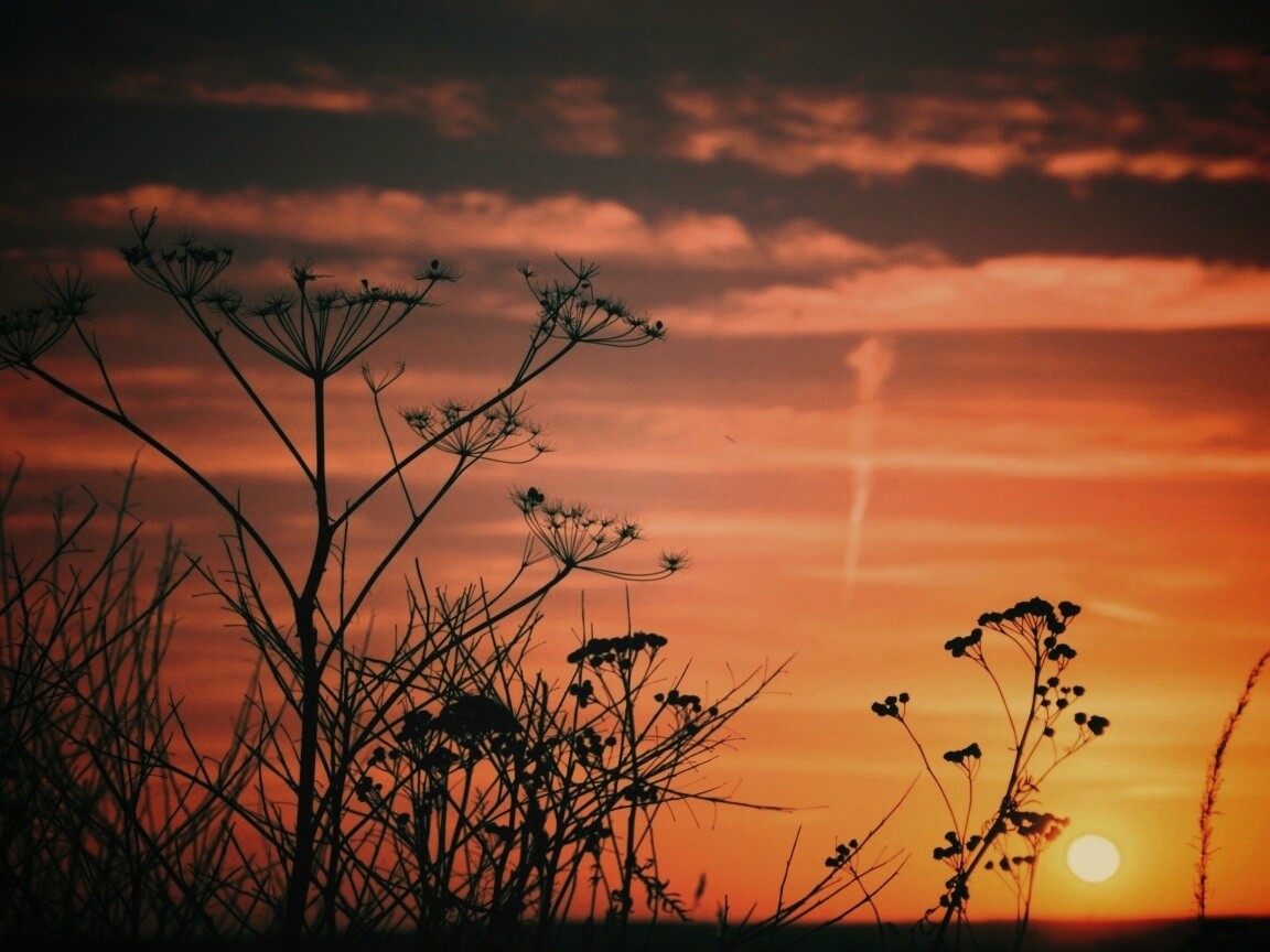 Степной закат обои