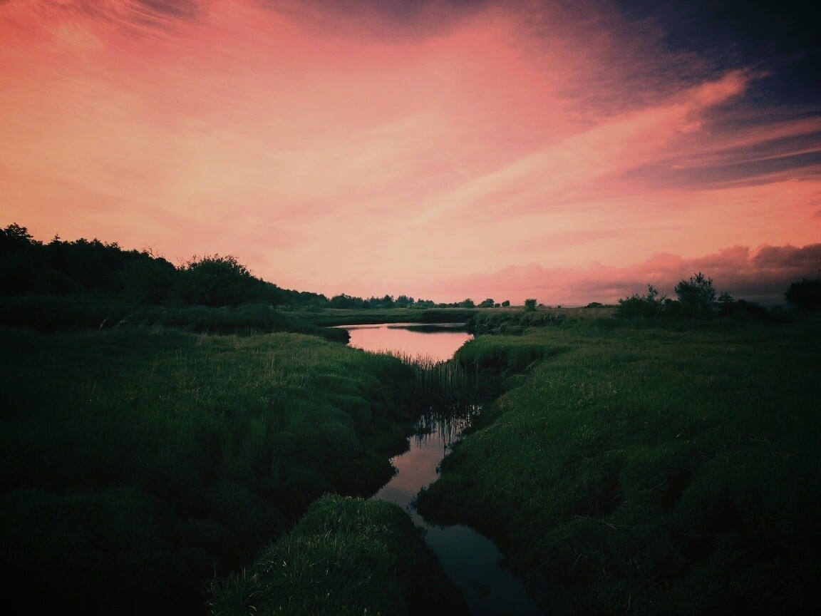 Канава и пруд обои