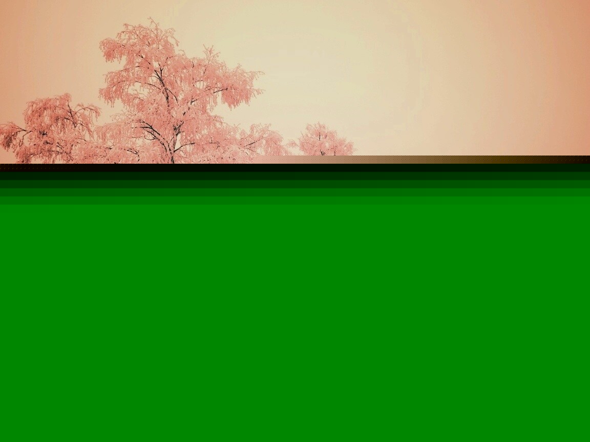 Первый снег обои