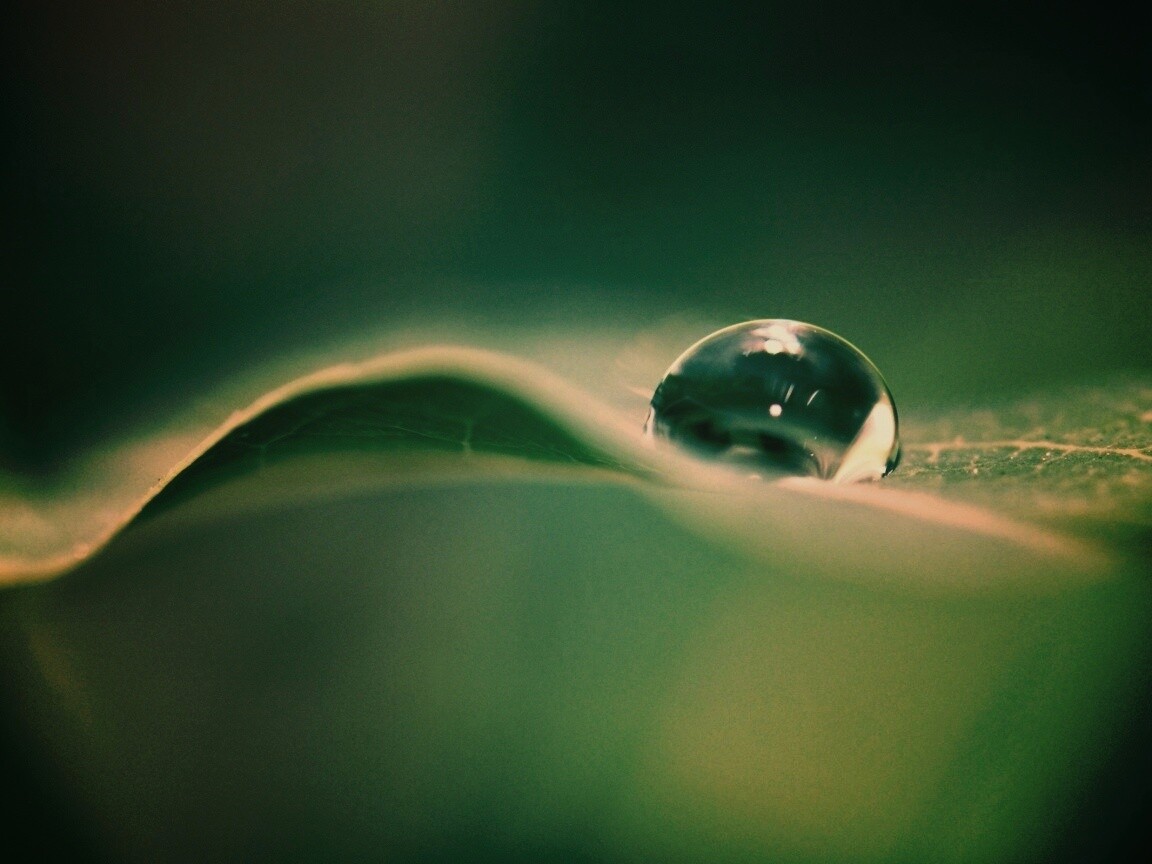 Фотография капли воды в макро обои