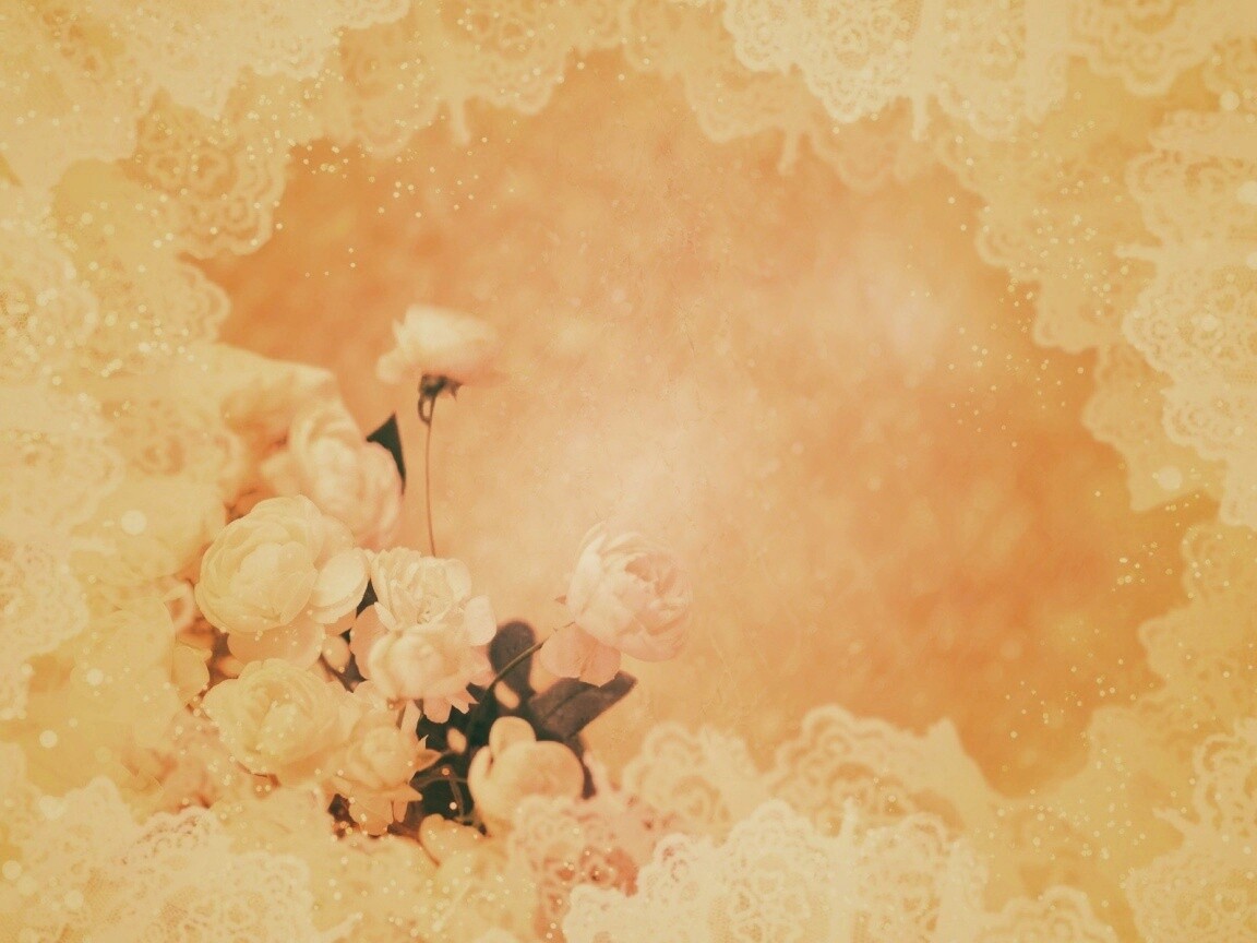 Бежевые кружева и розы обои