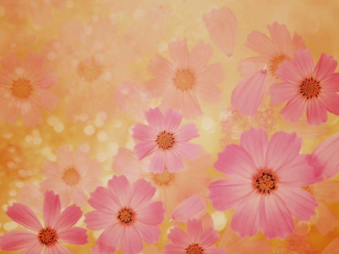 Цветочки обои