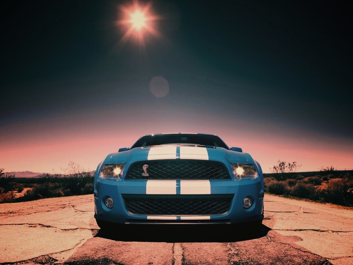 Форд Шелби обои