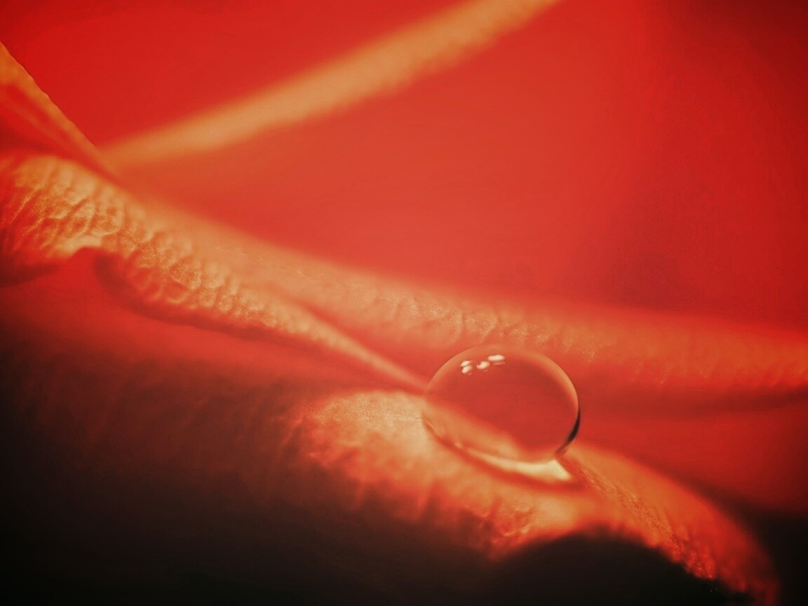 Капелька обои