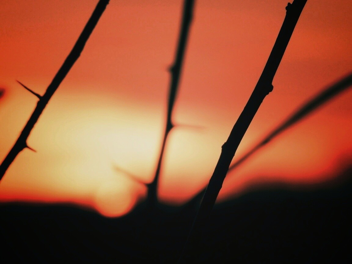 Закат солнца в поле обои