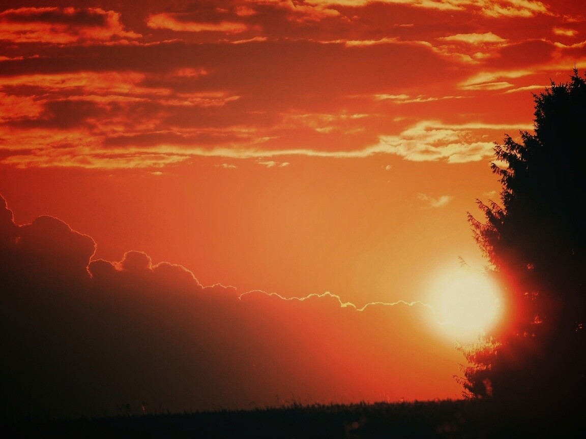 Теплый закат над полем обои