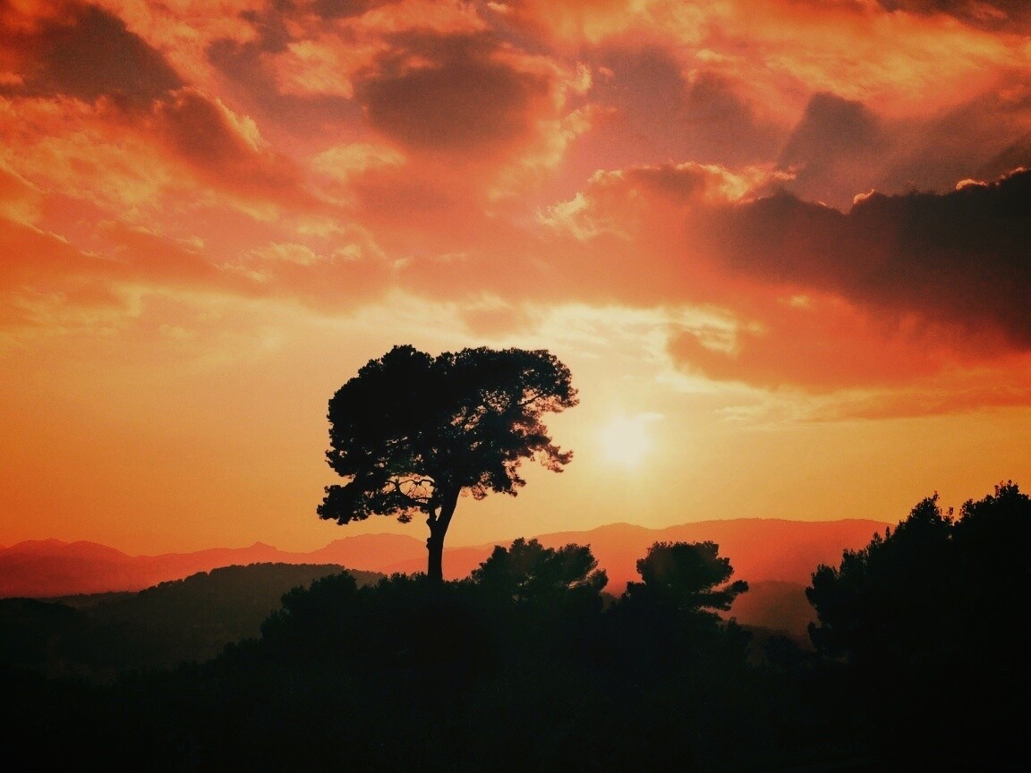 Закат над холмами обои
