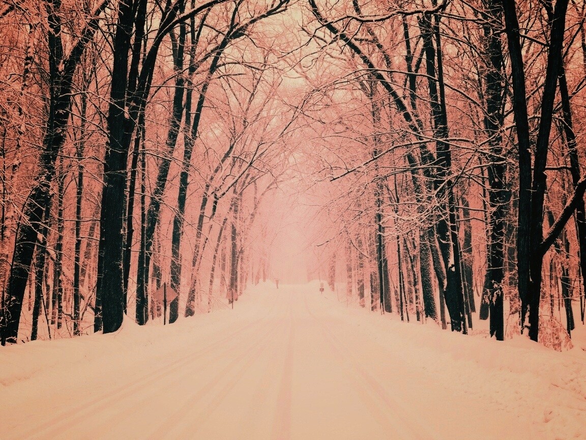 Дорога зимой в парке обои