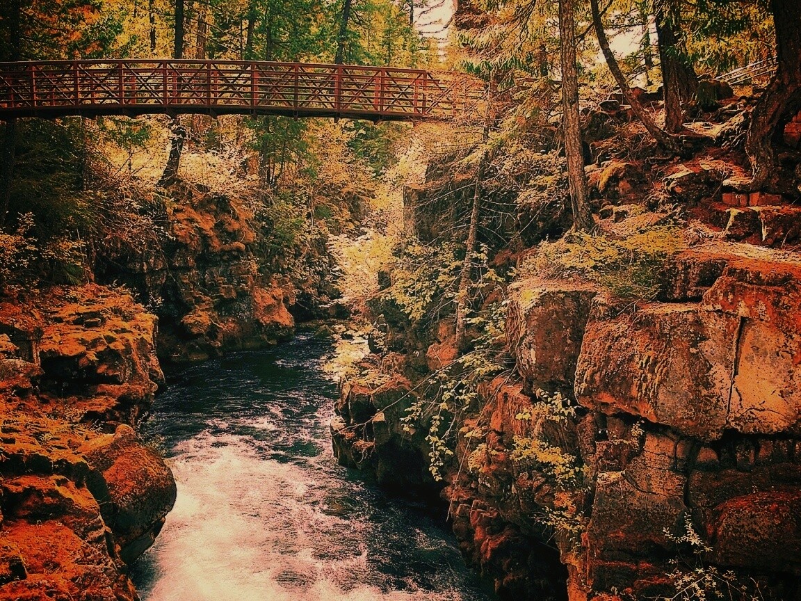 Мостик через реку в лесу обои