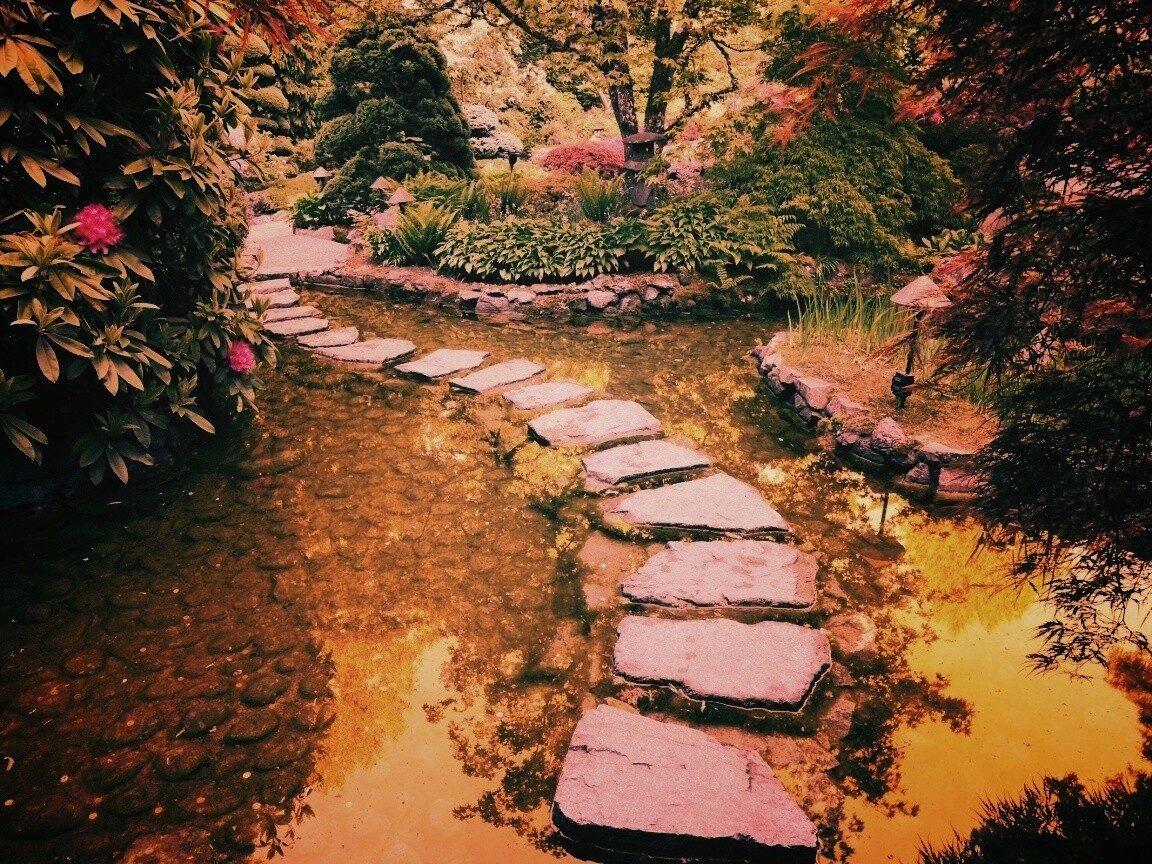 Дорожка через пруд обои