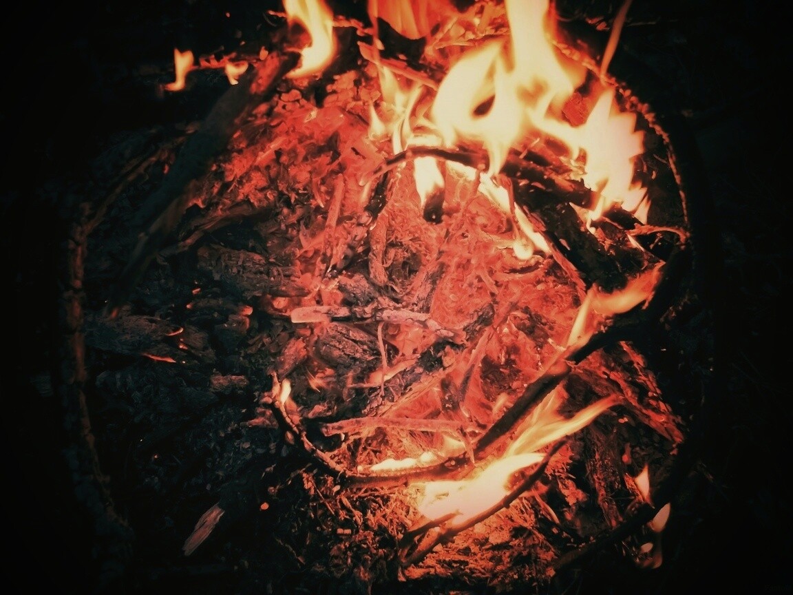 Костёр крупным планом обои