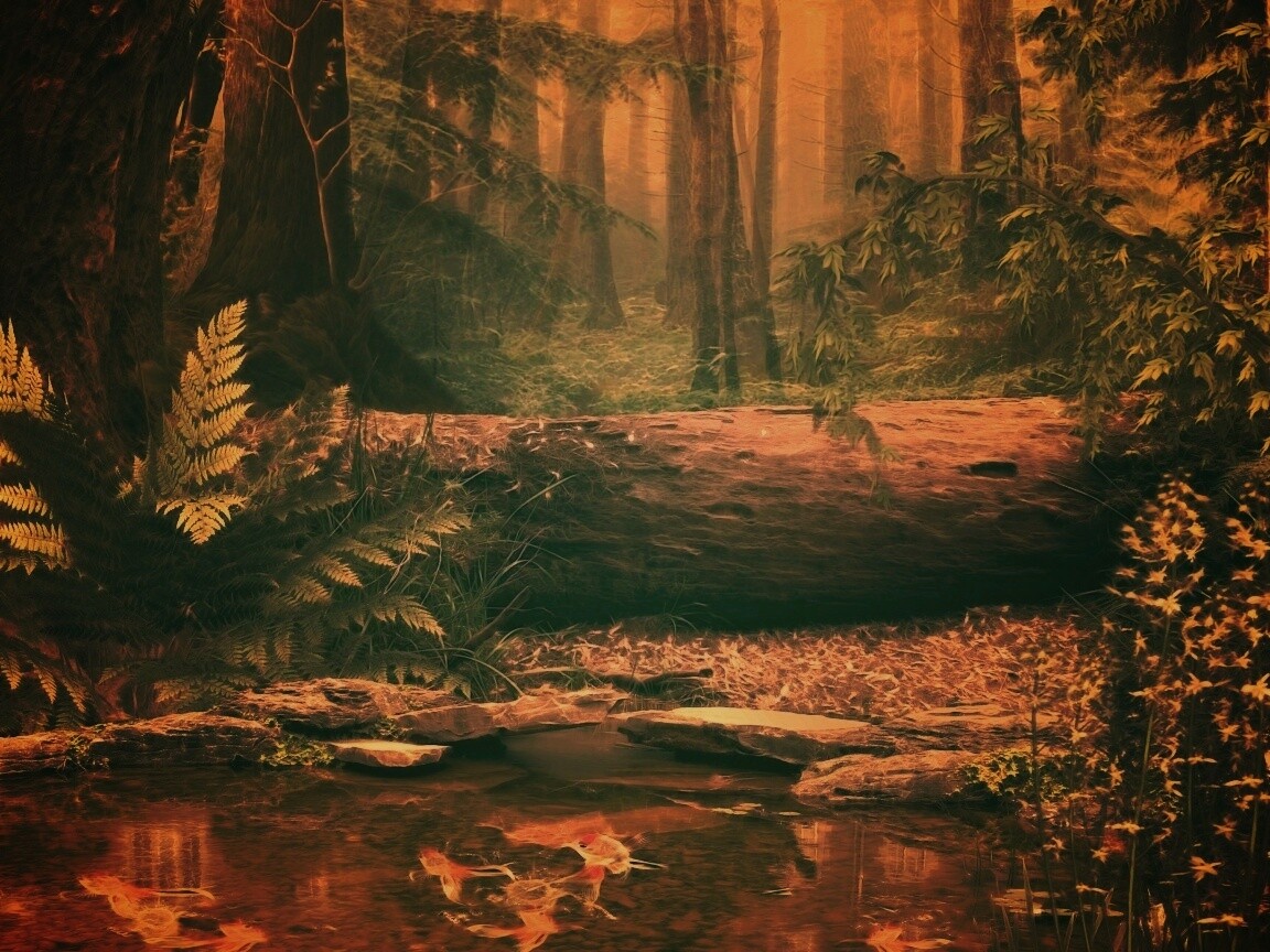 Лесной пейзаж обои