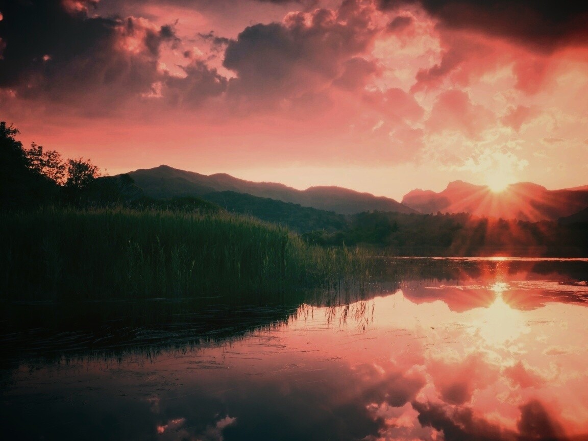 Закат за лесом обои