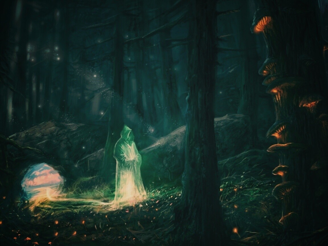 Маг света в лесу обои