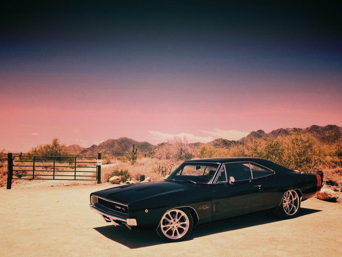 Мускулкар под палящим солнцем обои