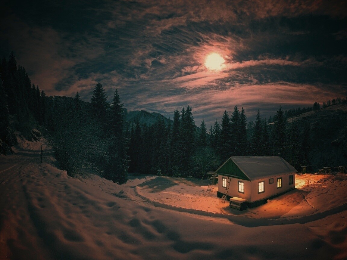 Один в зимнем лесу обои