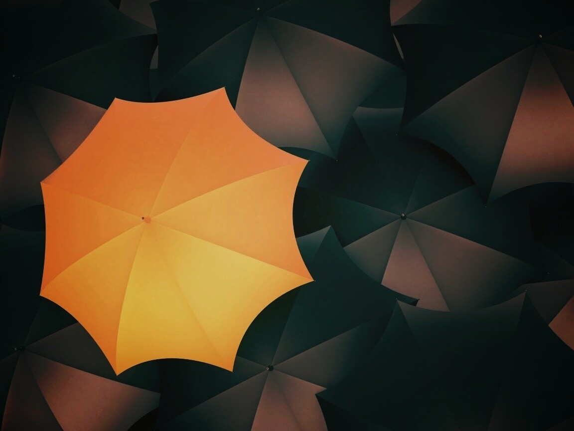 Жёлтый среди чёрных обои