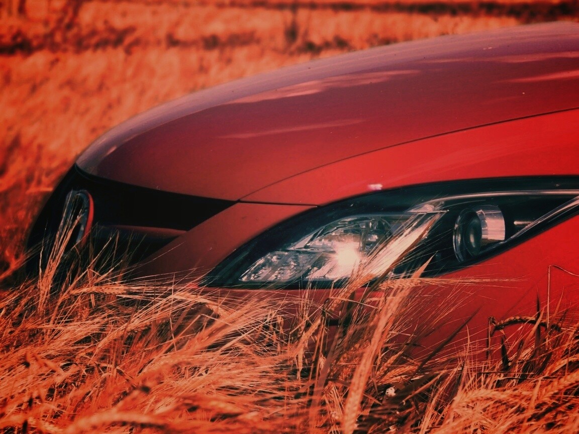 Мазда в пшенице обои