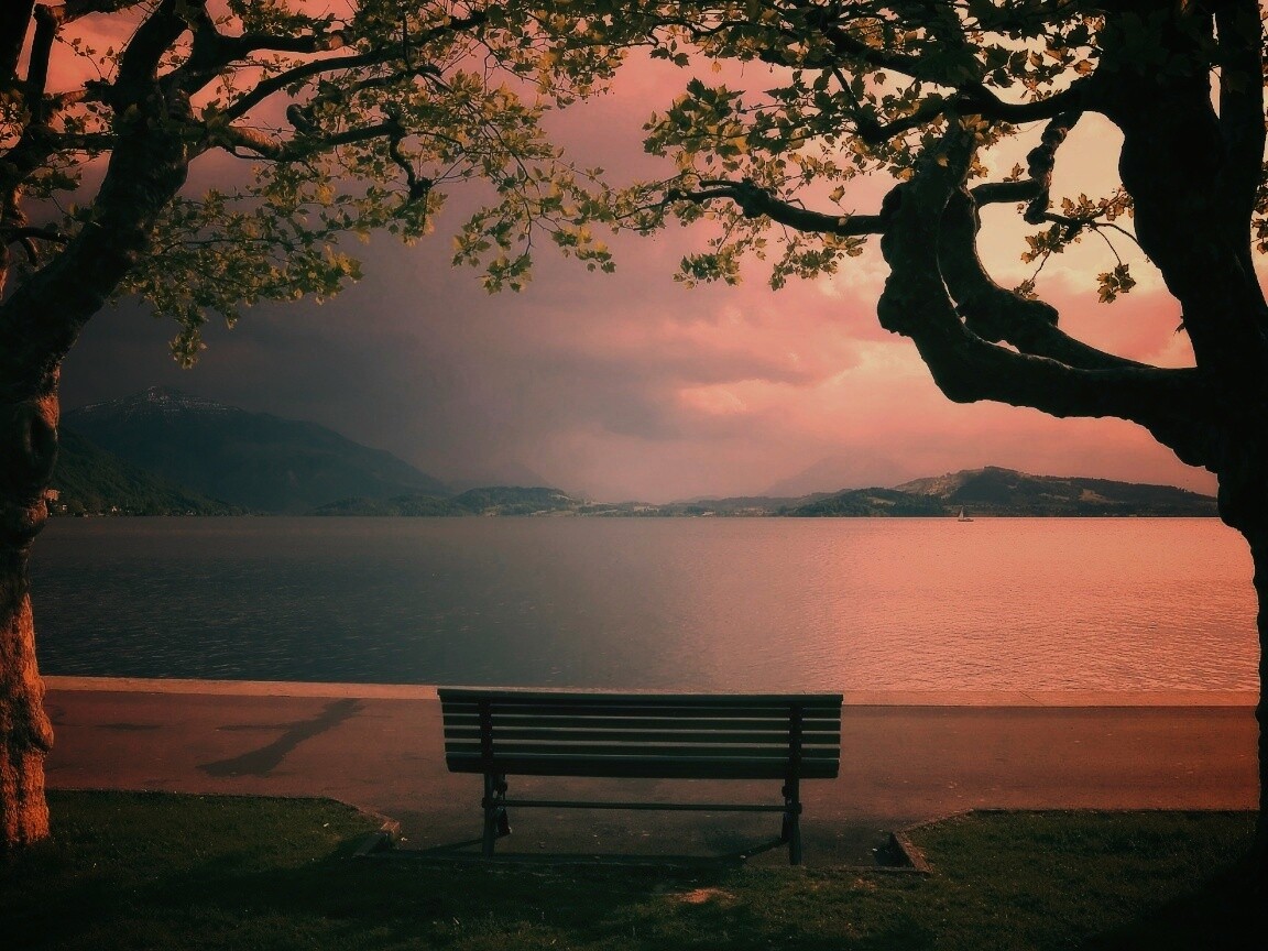 Скамейка на берегу обои