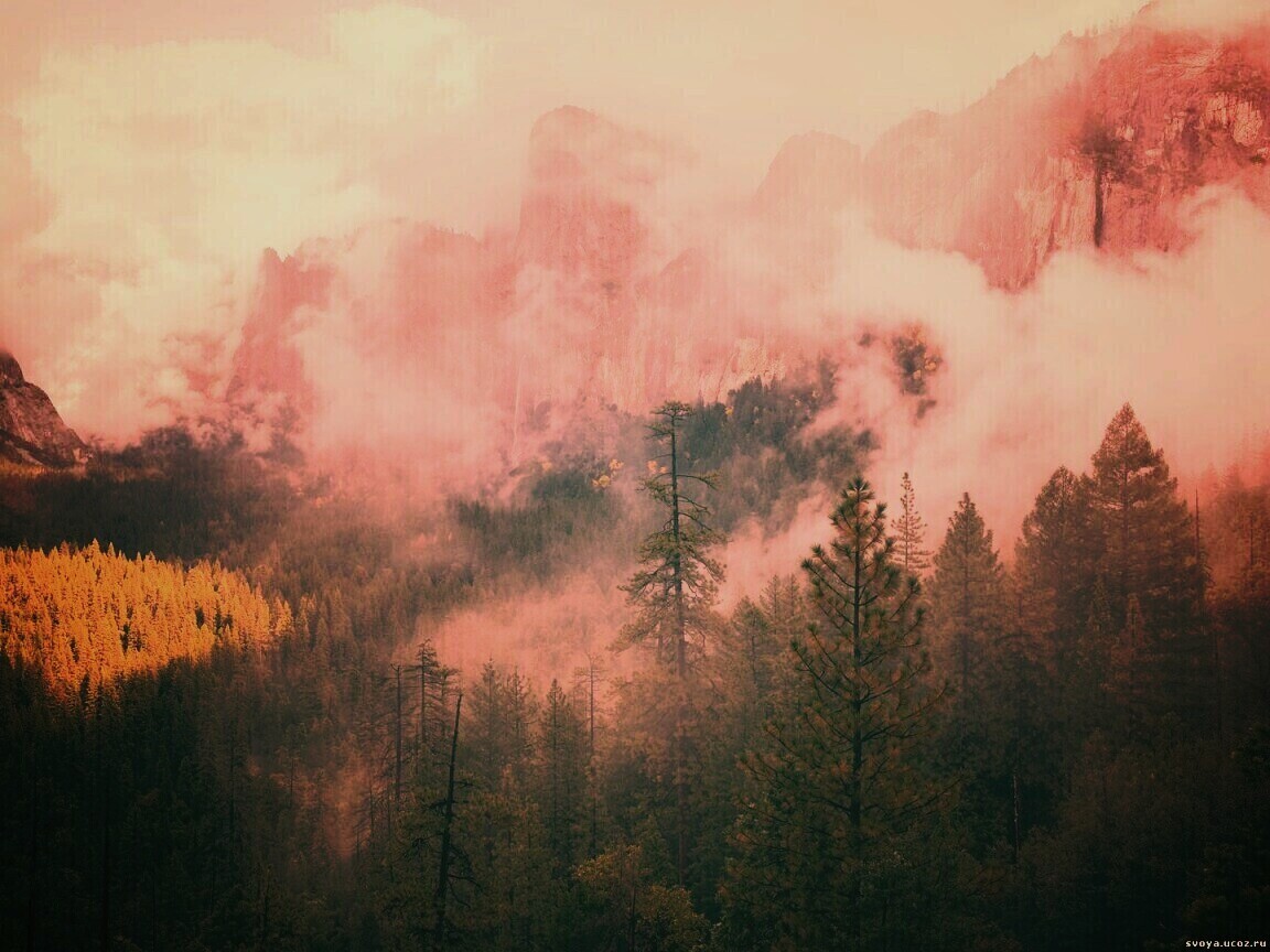 Туман в горах обои