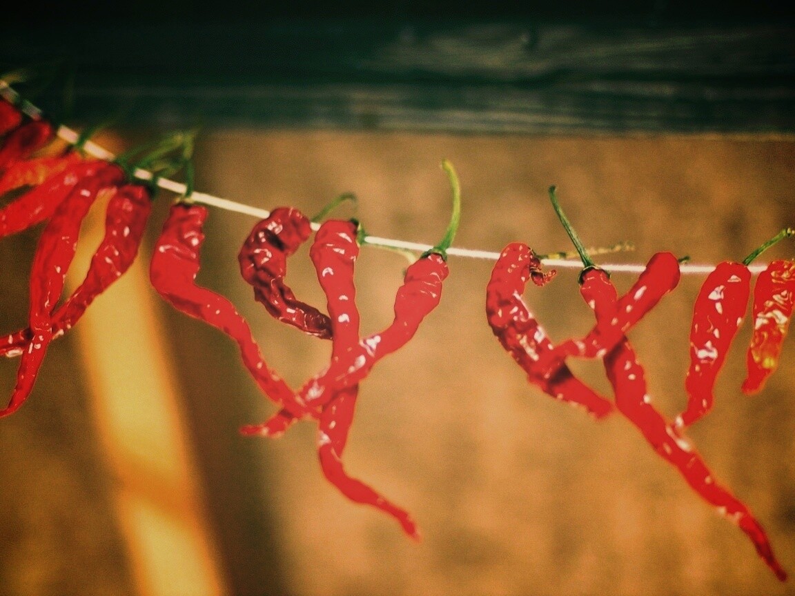 Перчики чили обои