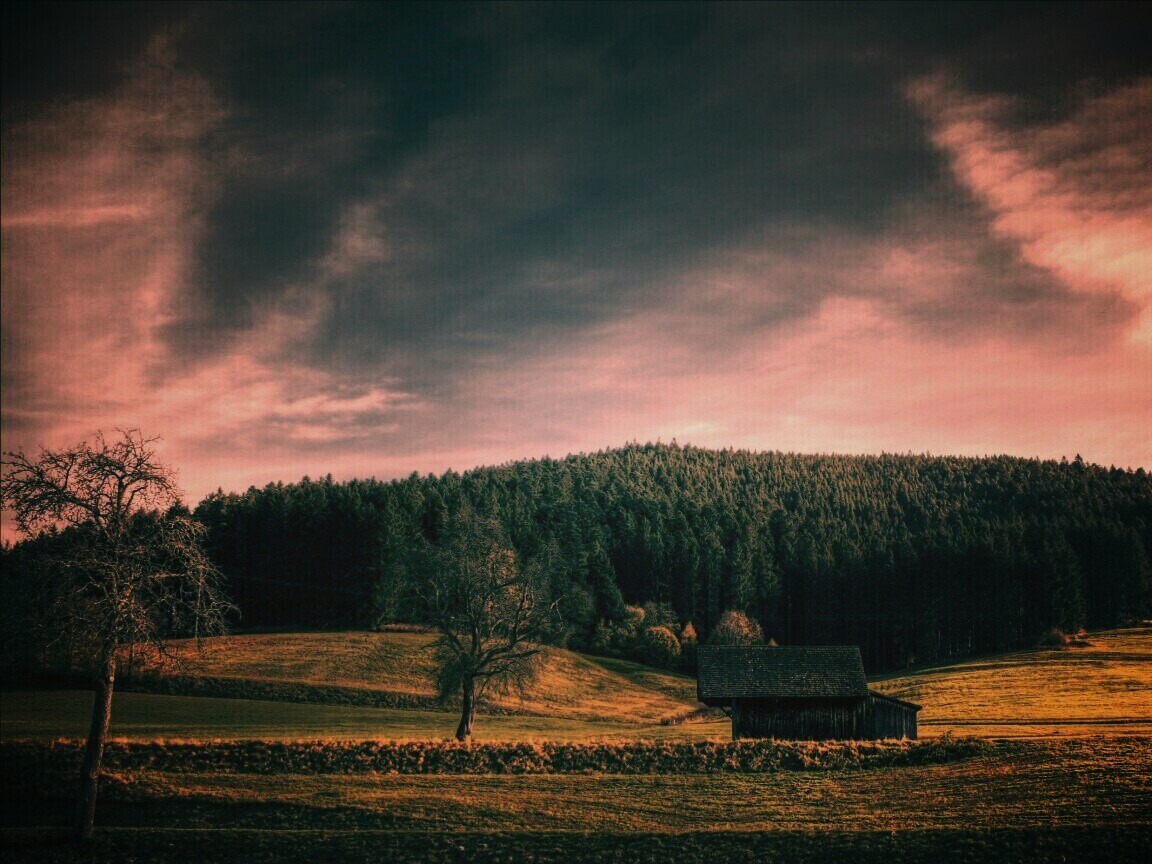 Домик в поле обои