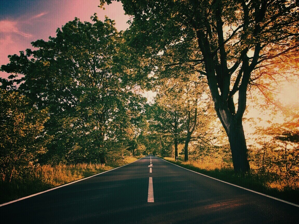 Прямая дорога обои