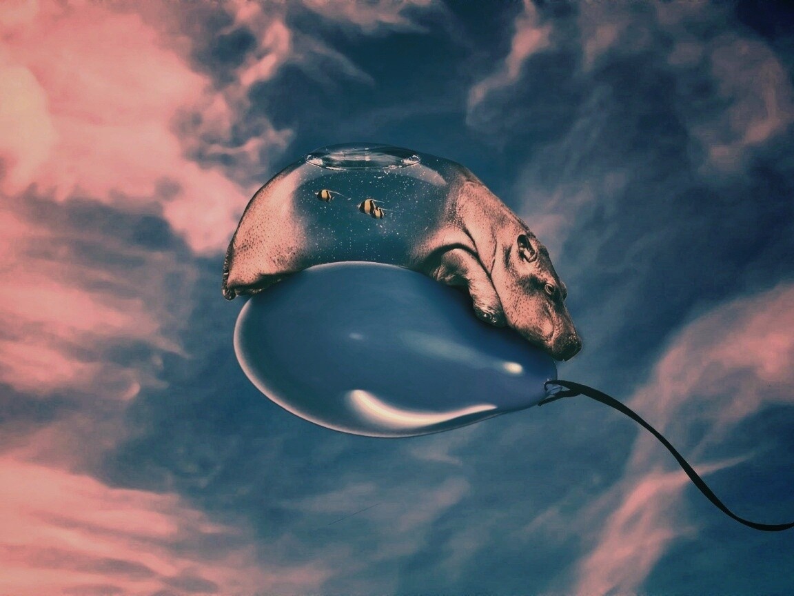 Водяной гиппопотам на шарике обои