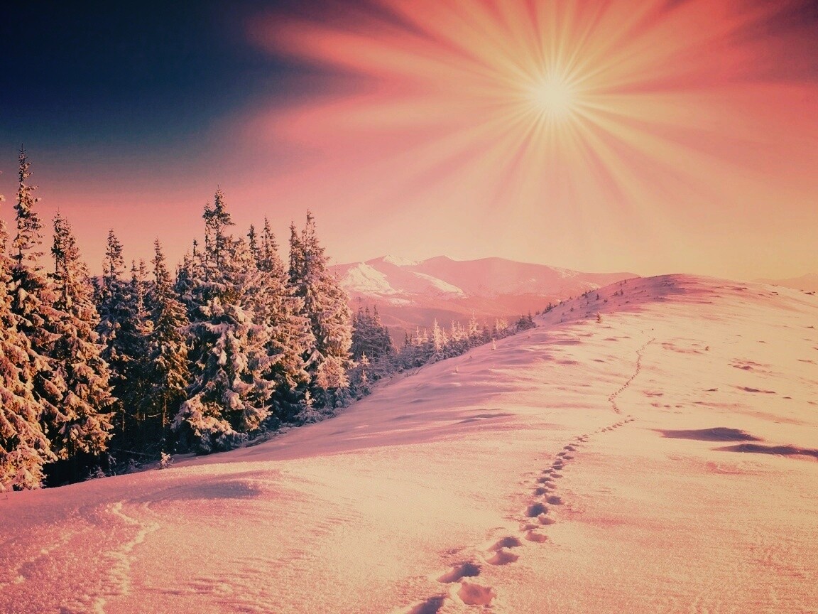 Холодные лучи зимнего солнца обои