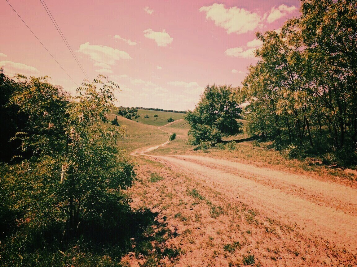 Просёлочная дорога обои