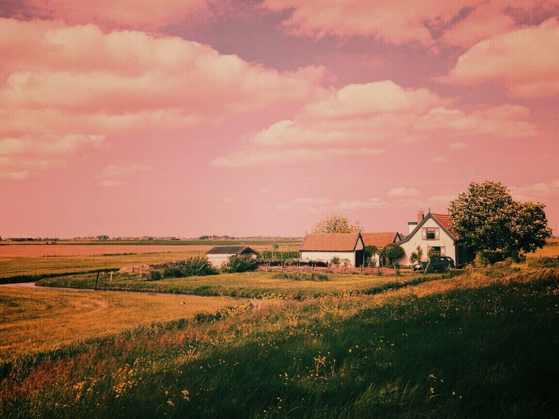 дом на лугу обои