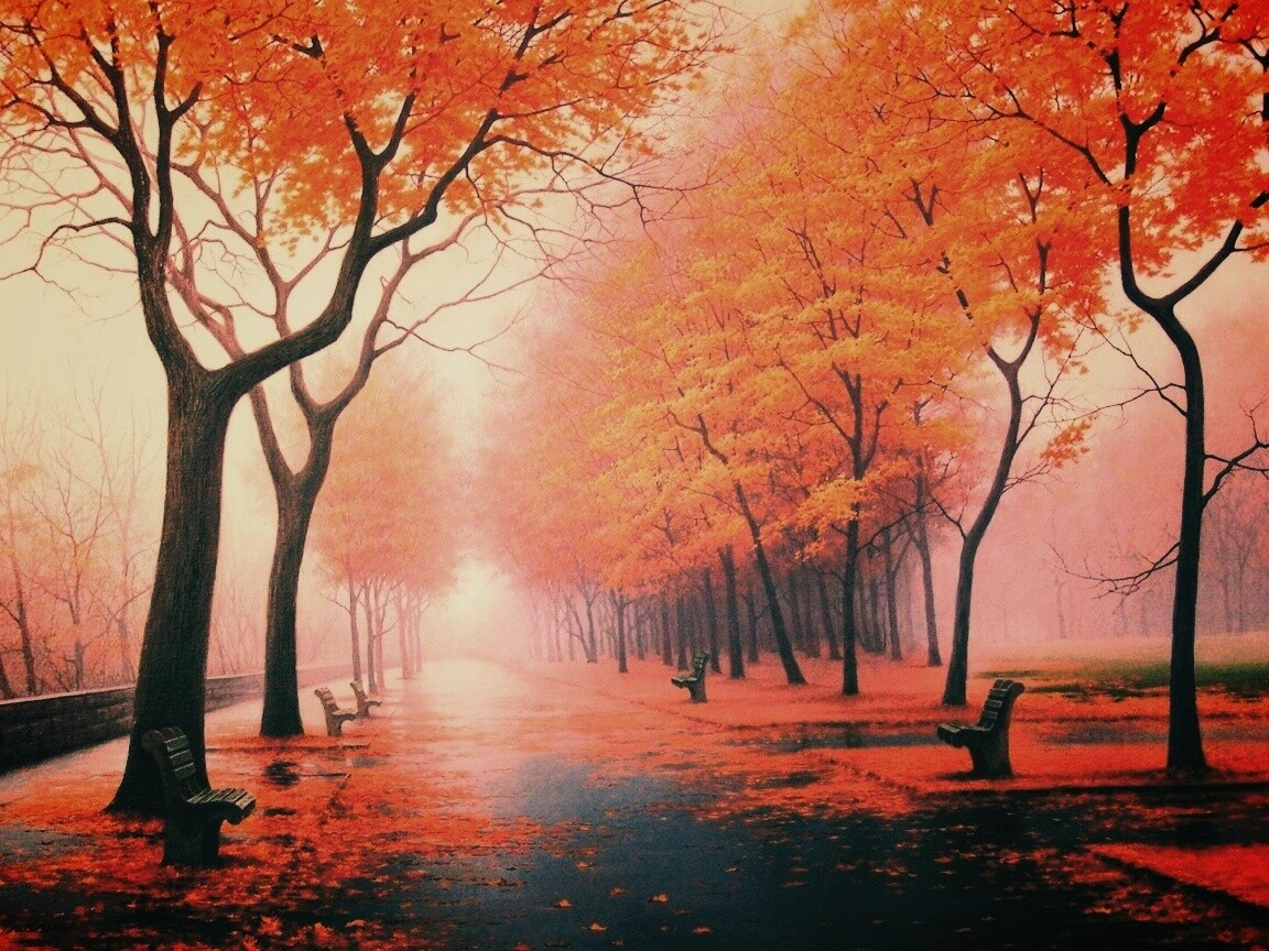 Дорога в осень обои