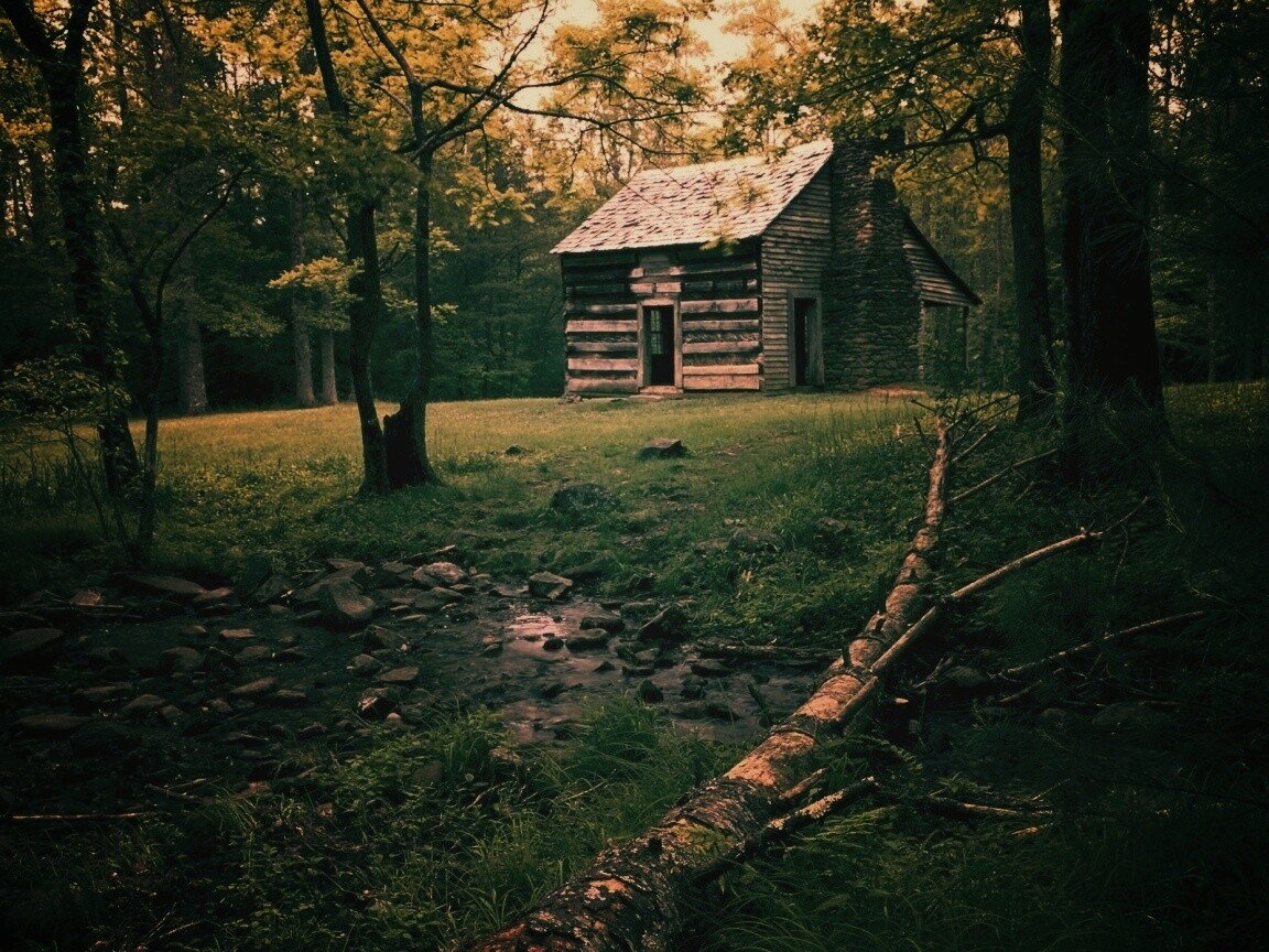 Домик в лесу обои