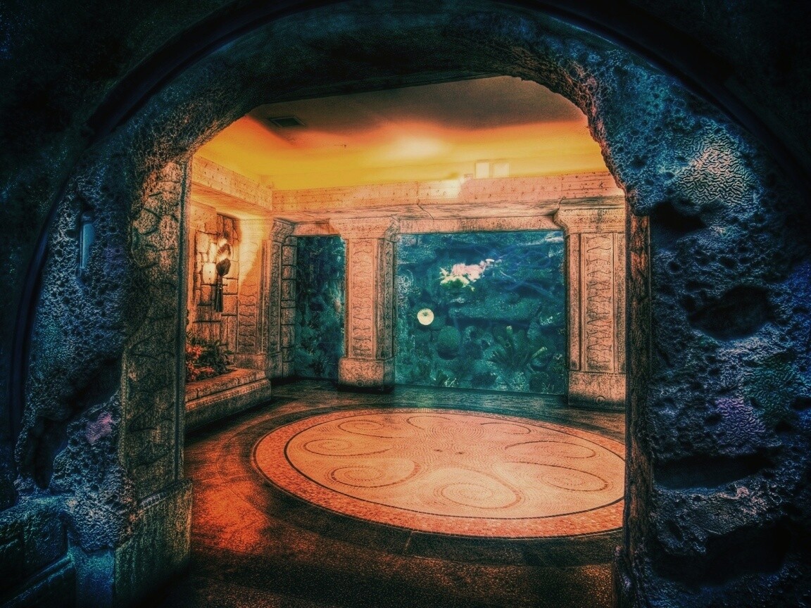 Аквариум обои