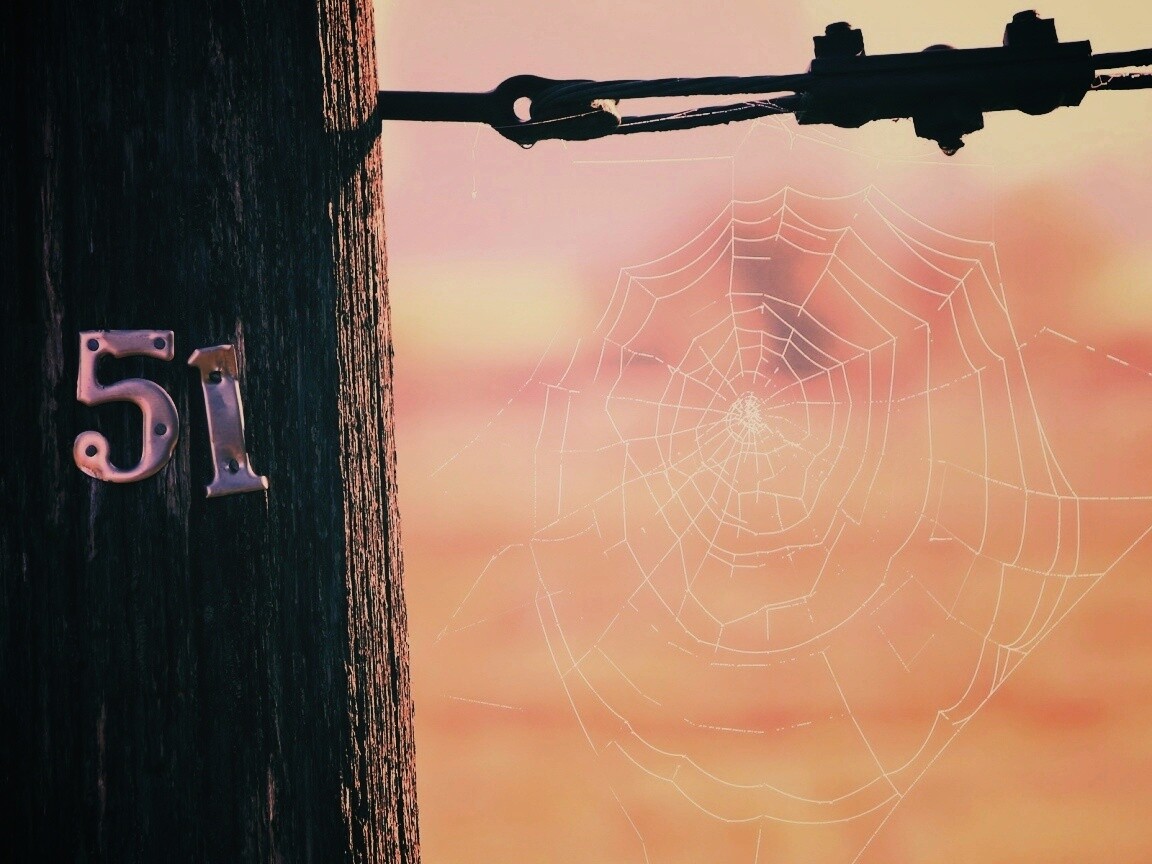 Паутина 51 обои